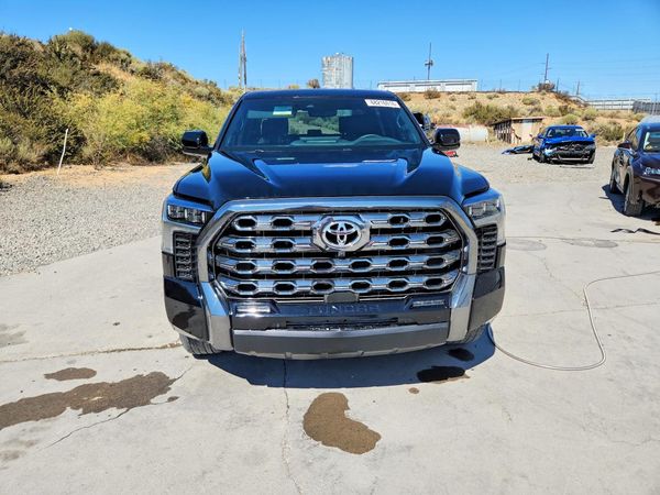 2025 TOYOTA TUNDRA Platinum — DIRF