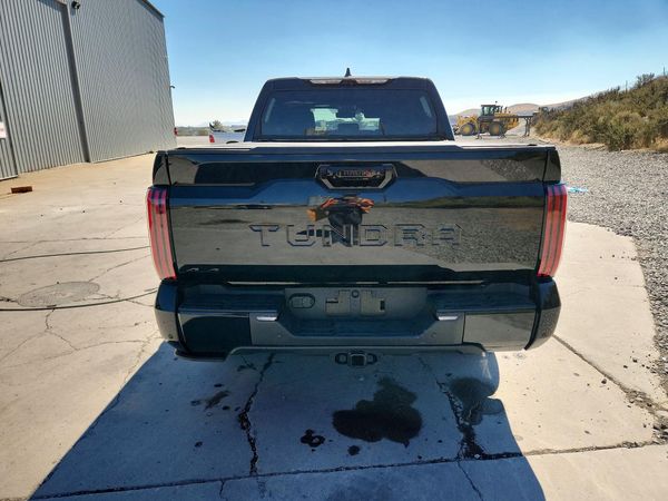 2025 TOYOTA TUNDRA Platinum — DIRR