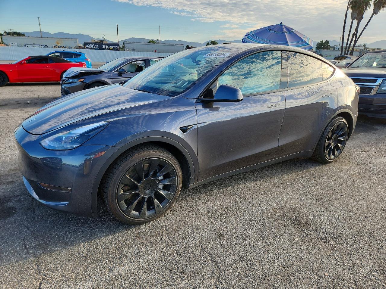2023 TESLA MODEL Y