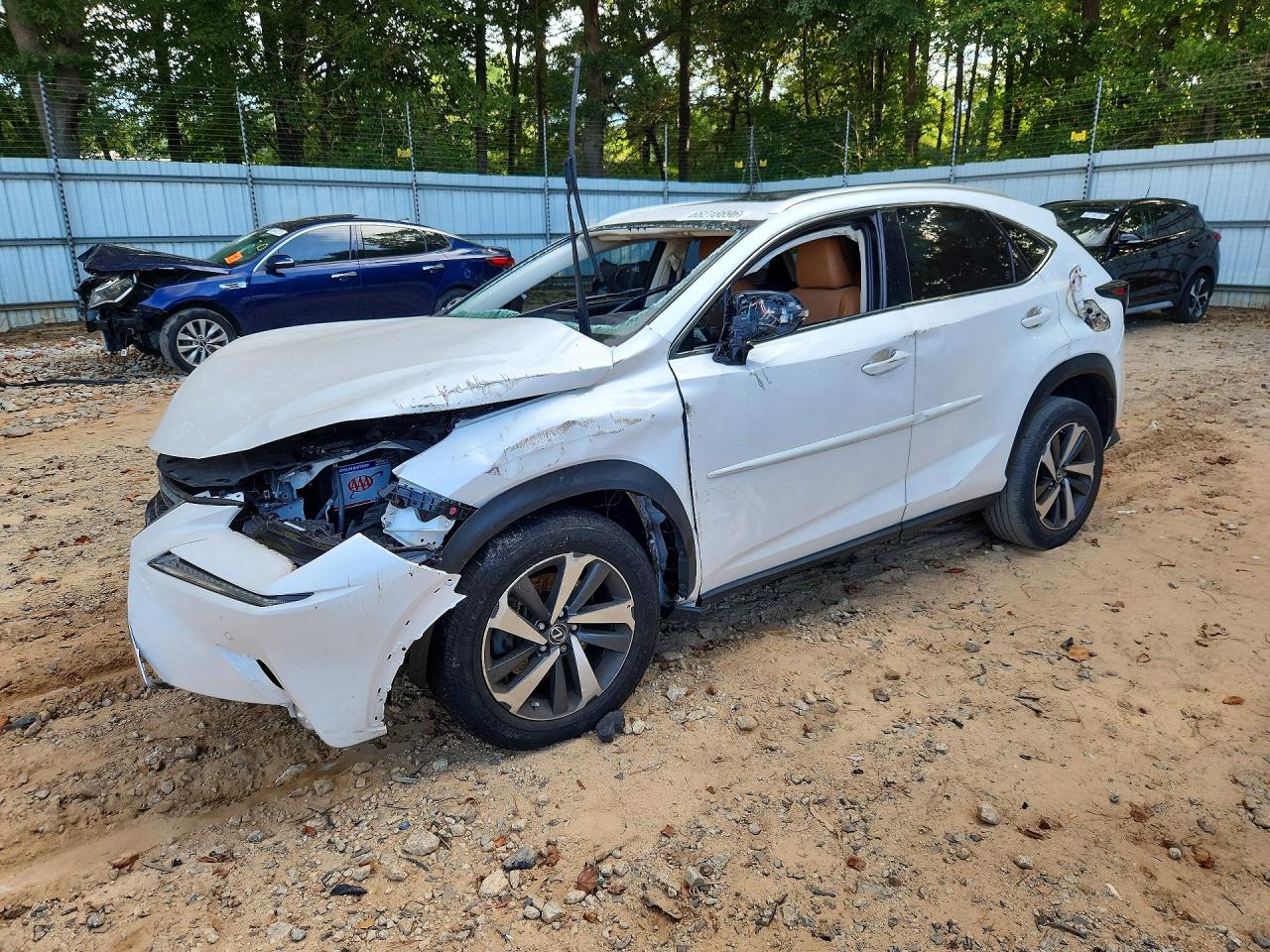 2018 LEXUS NX 300