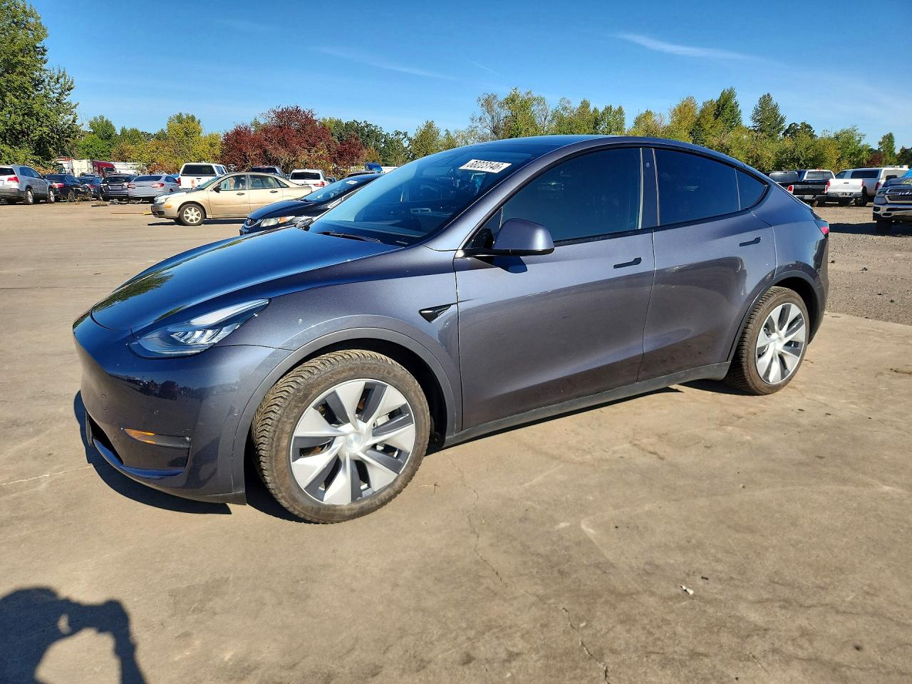 2020 TESLA MODEL Y