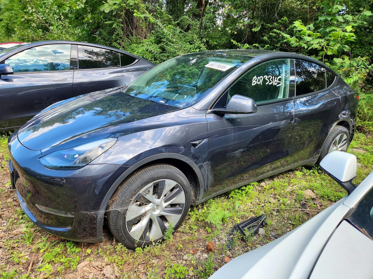 2024 TESLA MODEL Y