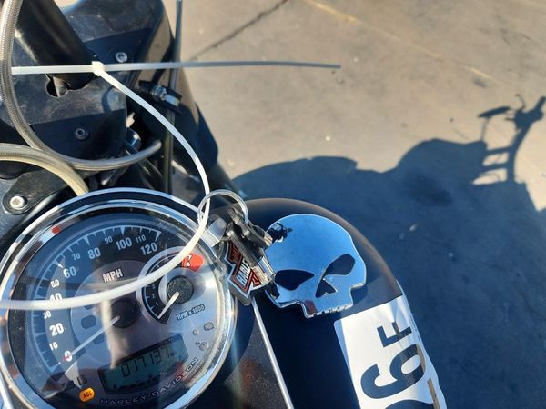 2015 HARLEY-DAVIDSON FL