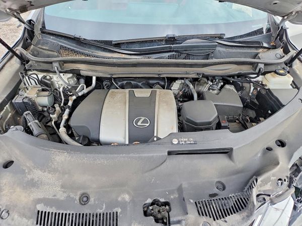 2019 LEXUS RX 350 350 Standard