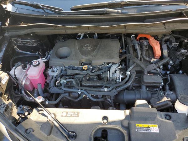 2021 TOYOTA SIENNA Platinum