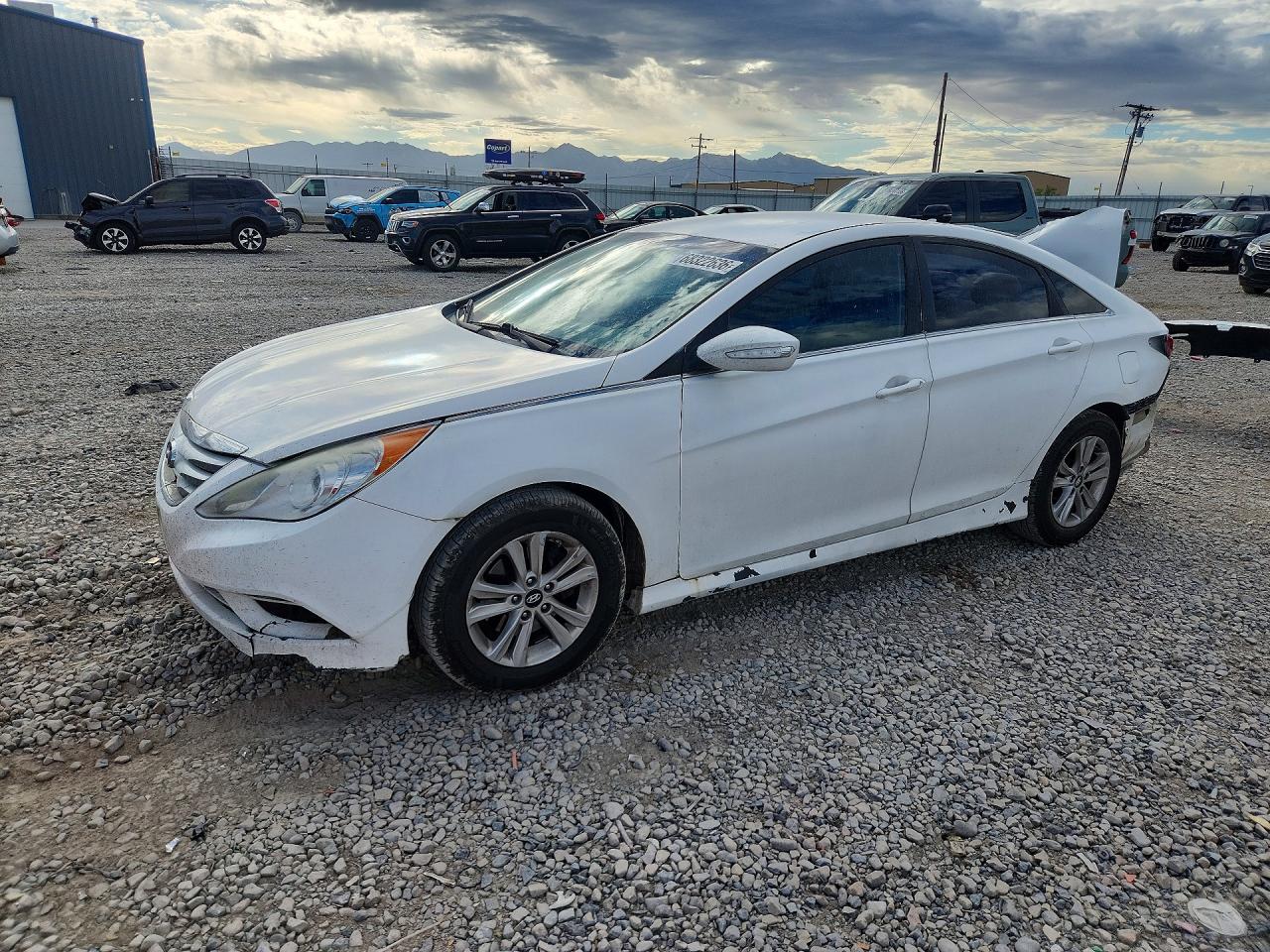2014 HYUNDAI SONATA GLS/ GLS Popular