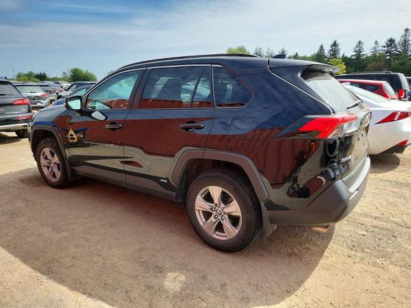 2024 TOYOTA RAV4 XLE Premium — DSRA