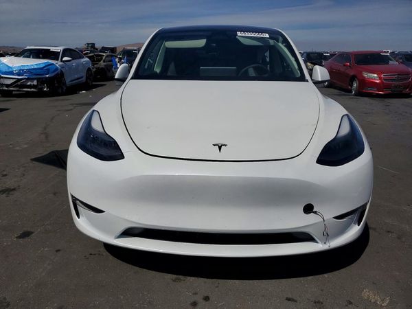 2024 TESLA MODEL Y — DIRF