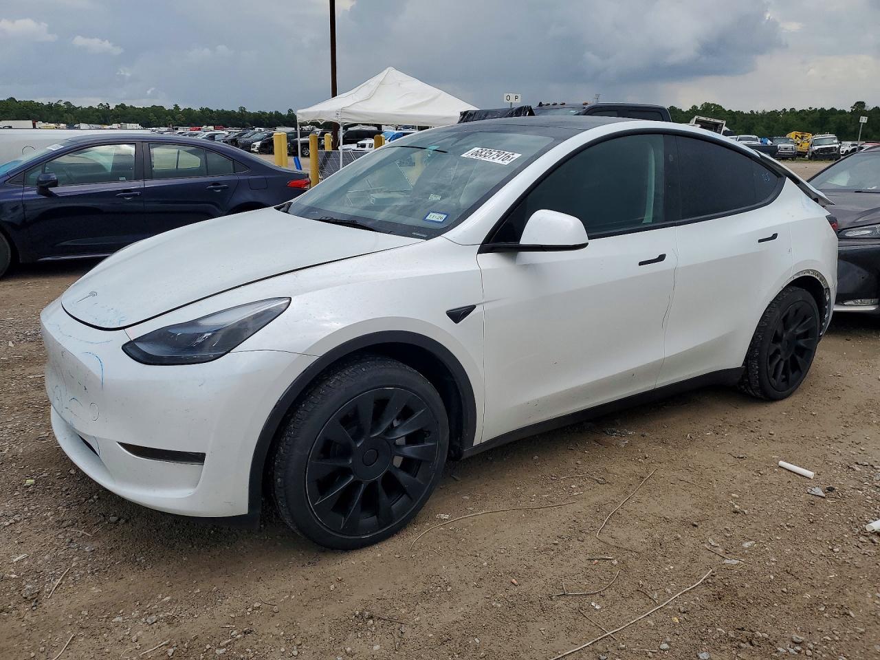 2025 TESLA Y