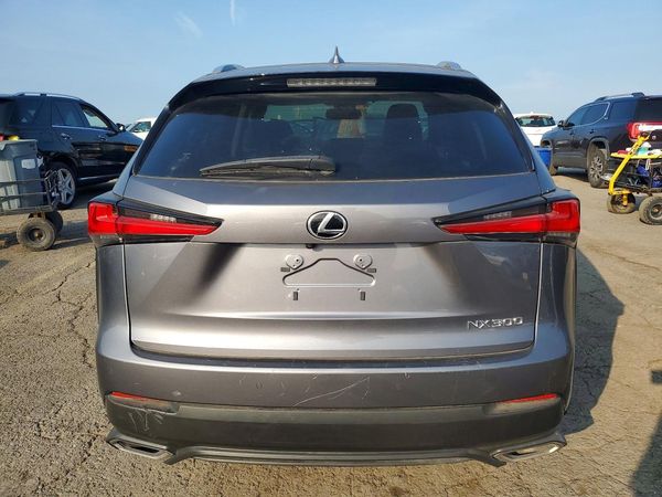2020 LEXUS NX — DIRR