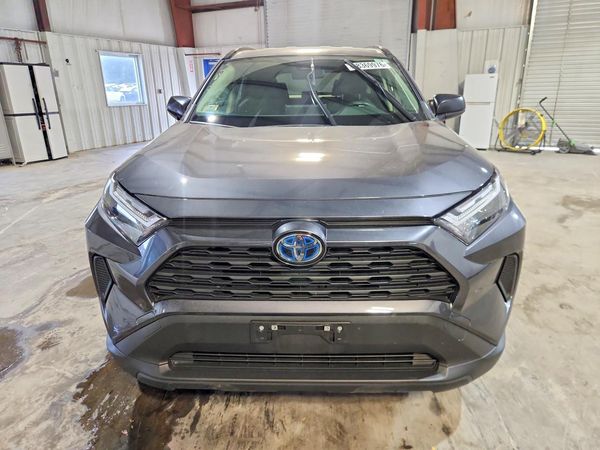 2024 TOYOTA RAV4 LE — DIRF