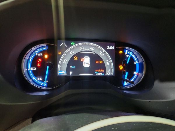 2024 TOYOTA RAV4 LE — ODOM