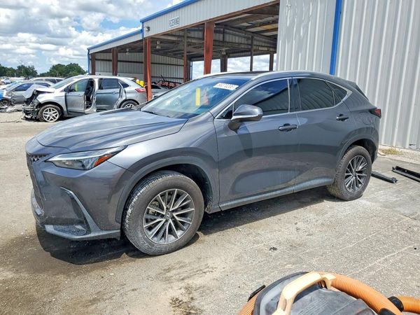 2024 LEXUS NX