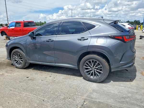 2024 LEXUS NX