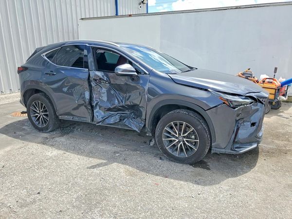 2024 LEXUS NX