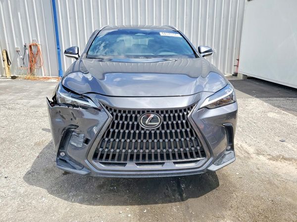 2024 LEXUS NX