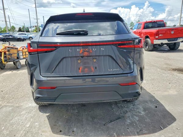 2024 LEXUS NX