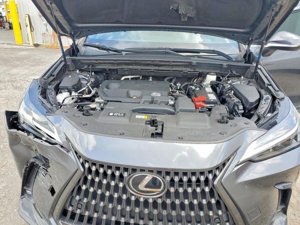 2024 LEXUS NX