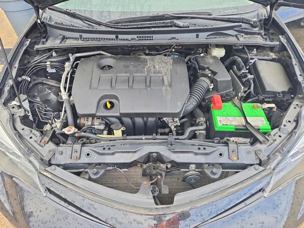 2019 TOYOTA COROLLA L/LE/SE/XLE/XSE — Engine bay