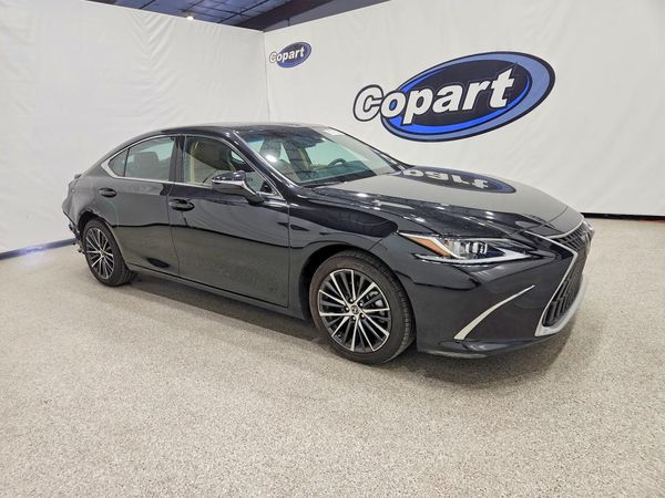 2025 LEXUS ES 300H