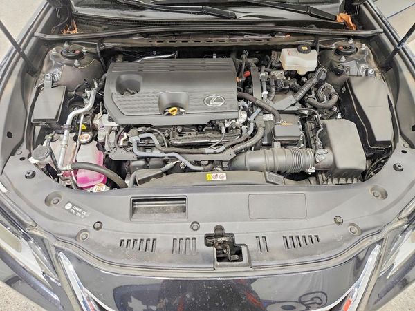 2025 LEXUS ES 300H