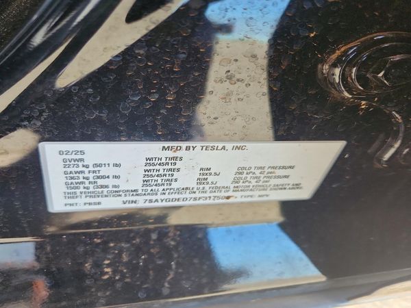 2025 TESLA MODEL Y