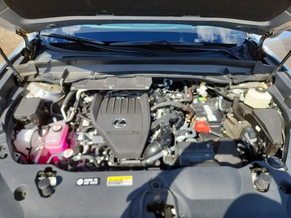 2024 LEXUS TX 350