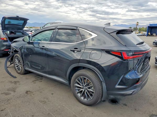 2025 LEXUS NX