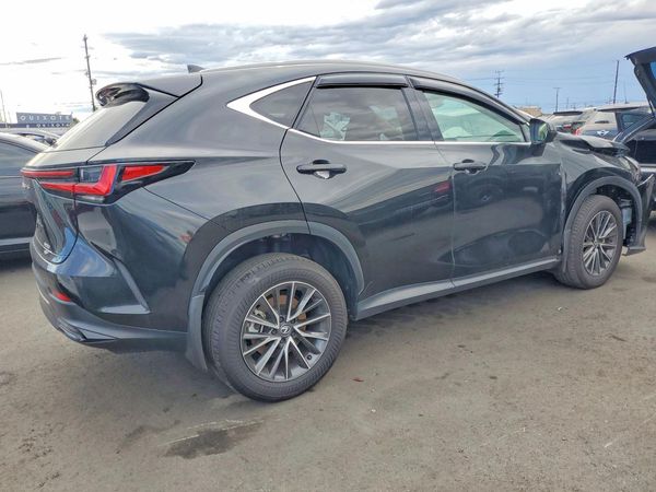 2025 LEXUS NX