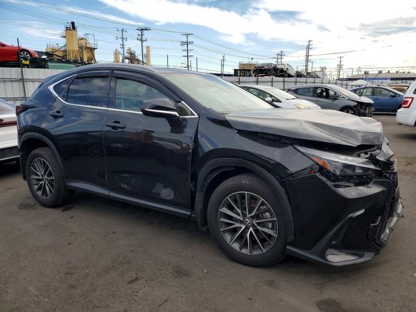 2025 LEXUS NX