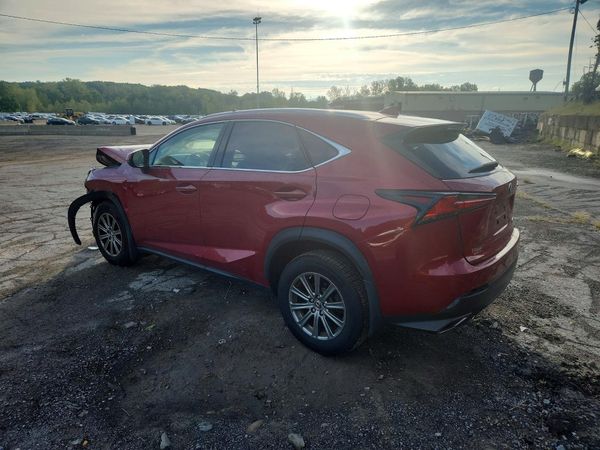 2019 LEXUS NX 300 300 Luxury