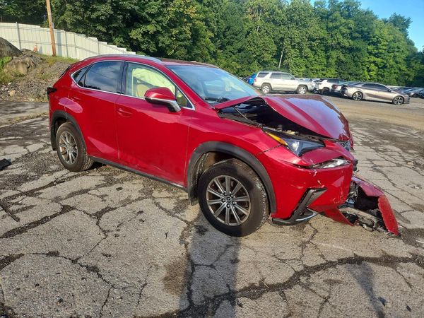 2019 LEXUS NX 300 300 Luxury