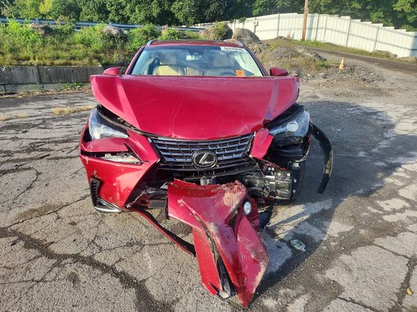 2019 LEXUS NX 300 300 Luxury