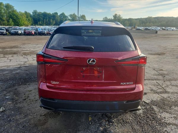 2019 LEXUS NX 300 300 Luxury