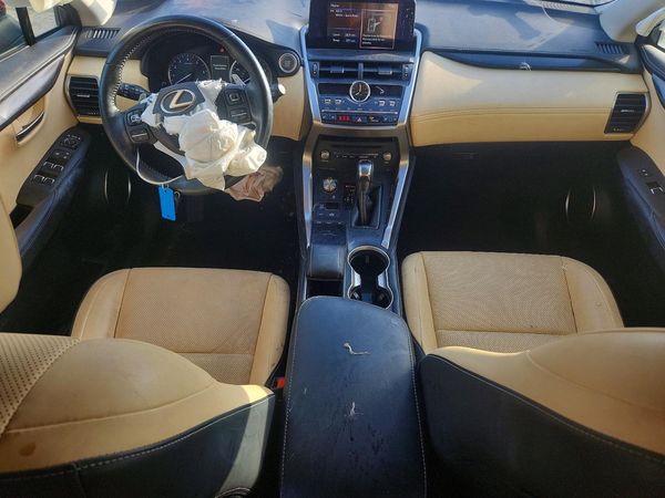 2019 LEXUS NX 300 300 Luxury
