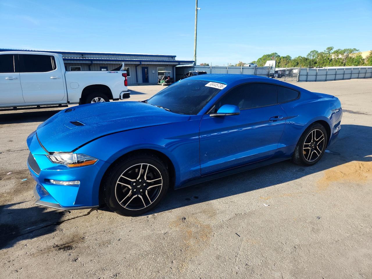 2019 FORD MUSTANG