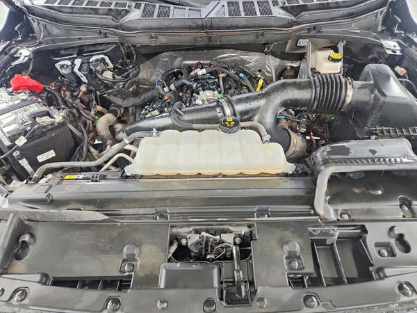 2025 FORD F150 XLT