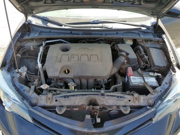 2019 TOYOTA COROLLA L/LE/SE/XLE/XSE