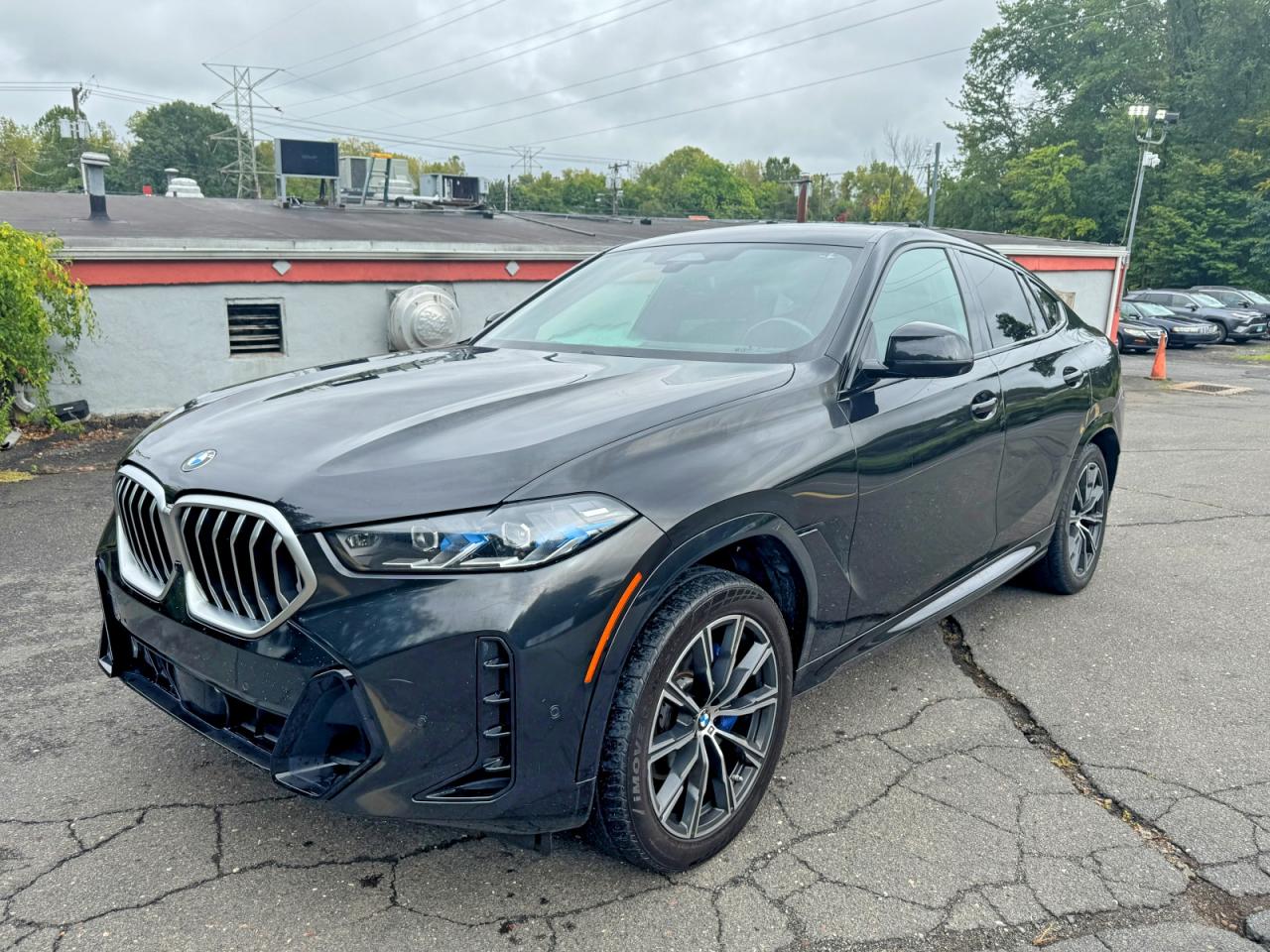 2024 BMW X6