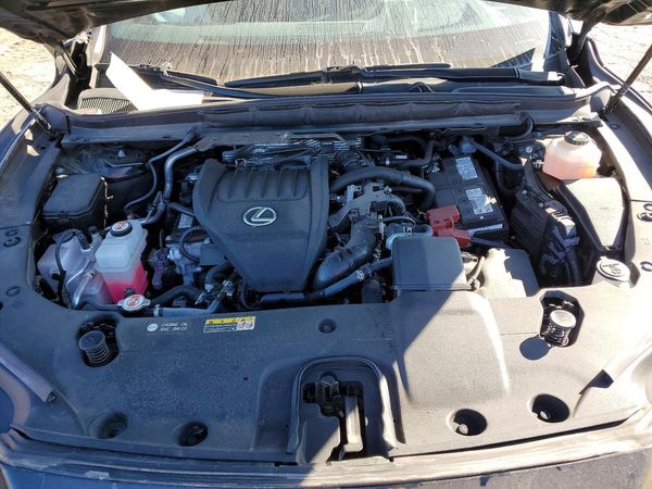 2024 LEXUS RX 350