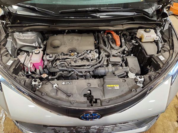 2023 TOYOTA SIENNA XLE