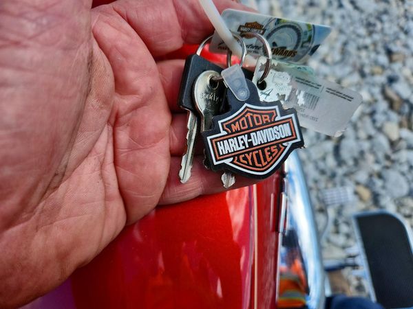 2014 HARLEY-DAVIDSON XL1200 — KEYF