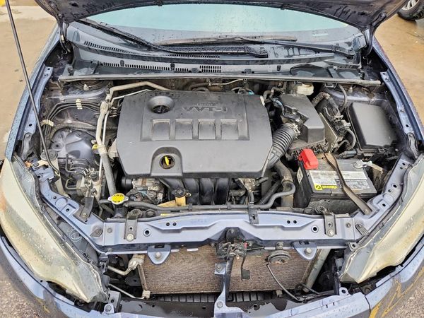 2014 TOYOTA COROLLA L/LE