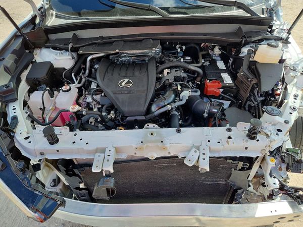 2026 LEXUS TX 350