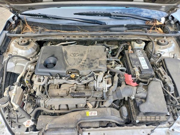 2019 TOYOTA CAMRY L/LE/SE/XLE — Engine bay