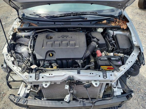 2019 TOYOTA COROLLA L/LE/SE/XLE/XSE
