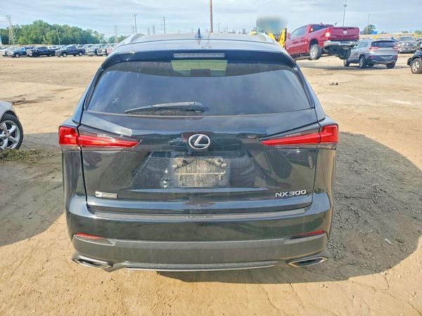 2019 LEXUS NX 300 300 Luxury