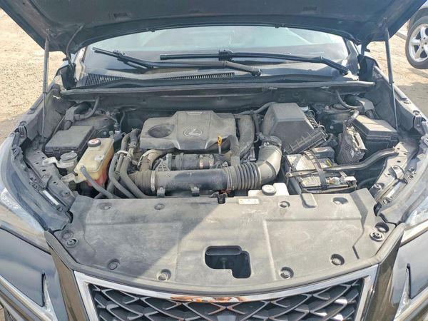 2019 LEXUS NX 300 300 Luxury