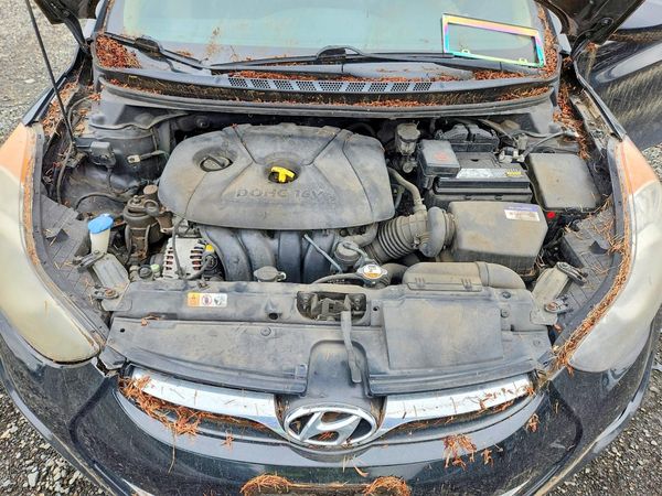 2013 HYUNDAI ELANTRA