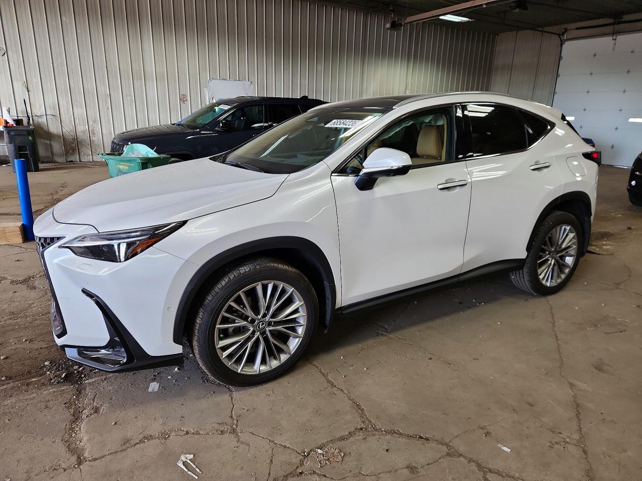 2025 LEXUS NX 350 Luxury